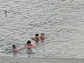 溺水视频,揭秘溺水事故现场