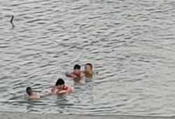 溺水视频,揭秘溺水事故现场